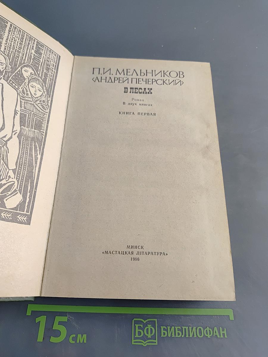 В лесах. Книга первая