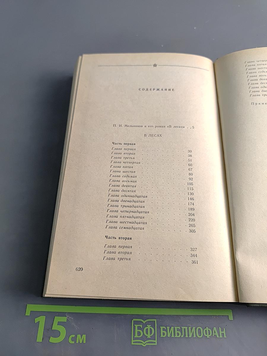 В лесах. Книга первая