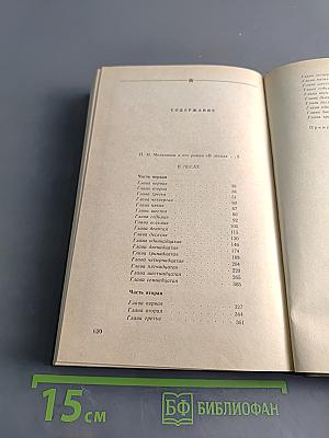 В лесах. Книга первая