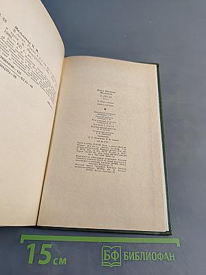 В лесах. Книга первая
