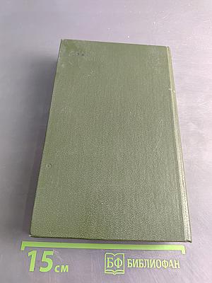 В лесах. Книга первая