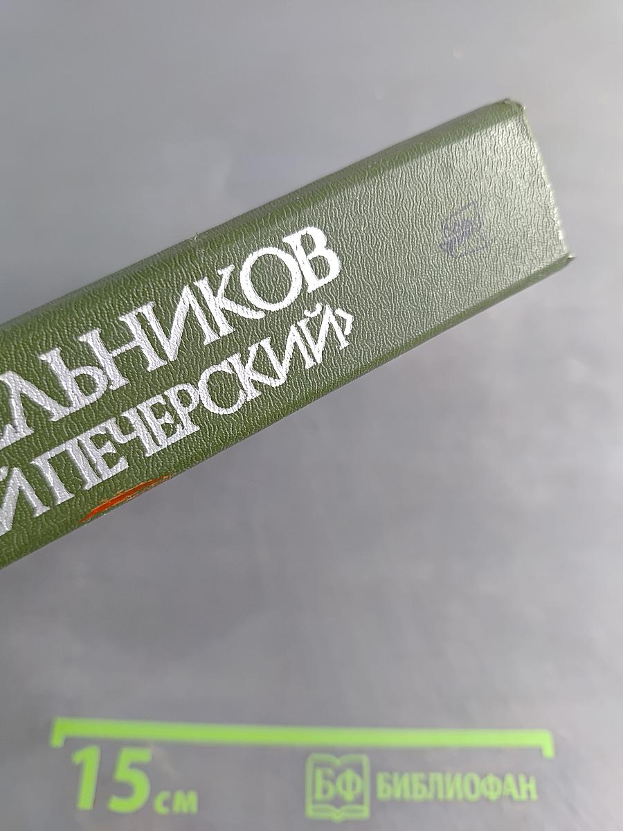 В лесах. Книга первая