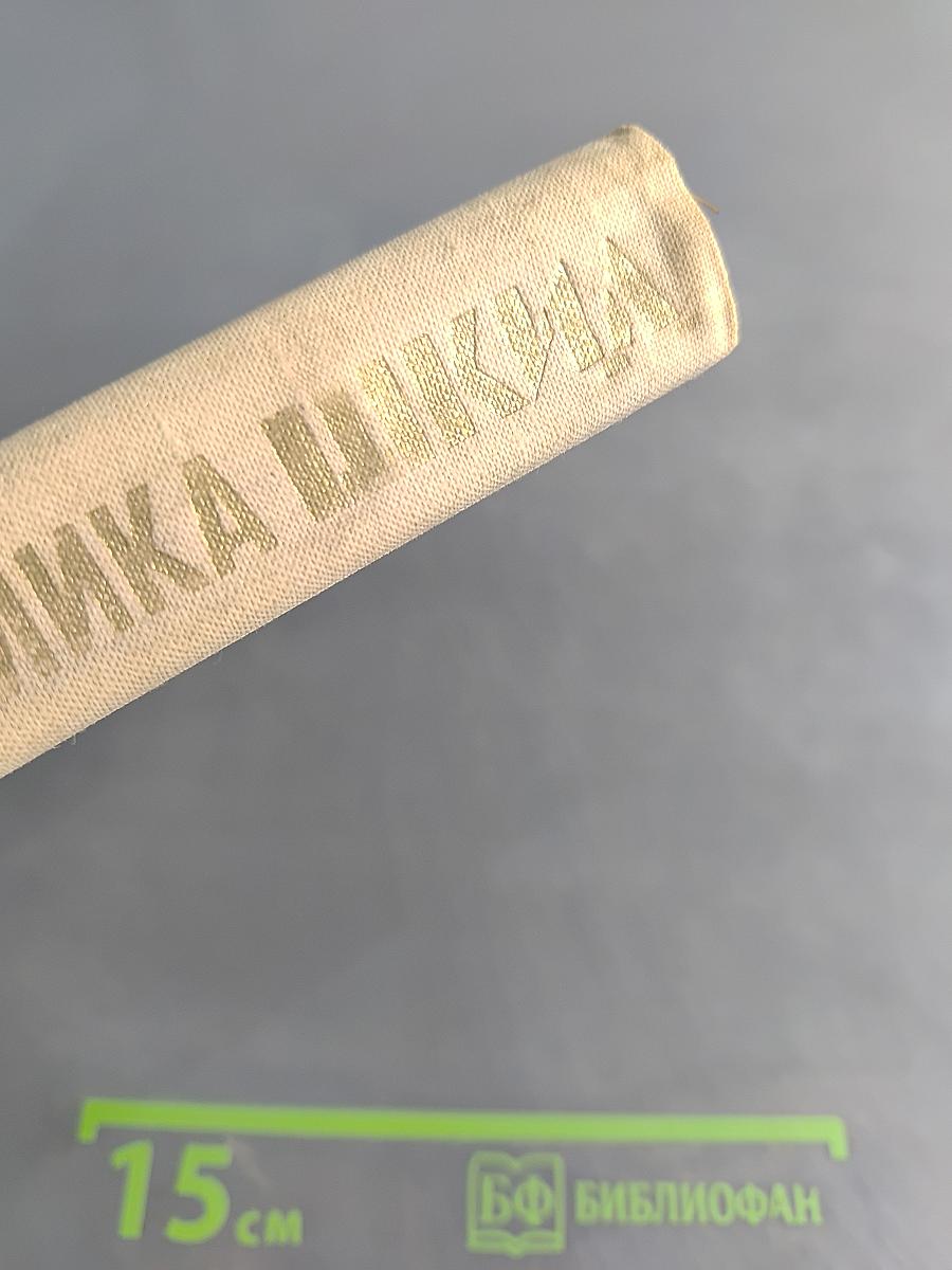 Республика ШКИД