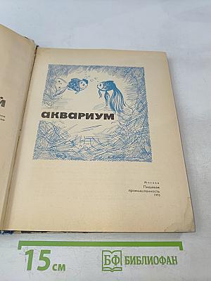 Занимательный аквариум