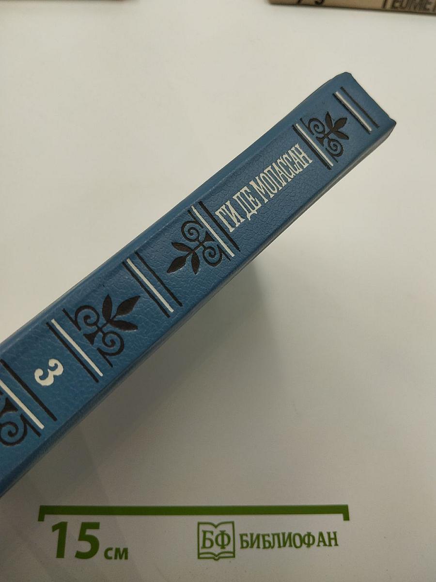 Ги де Мопассан. Собрание сочинений в шести томах. Том 3: Сказки дня и ночи; Туан; Маленькая Рок