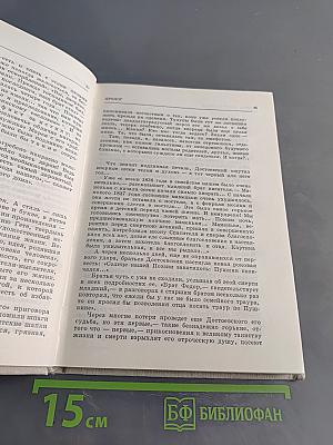 В мире Достоевского