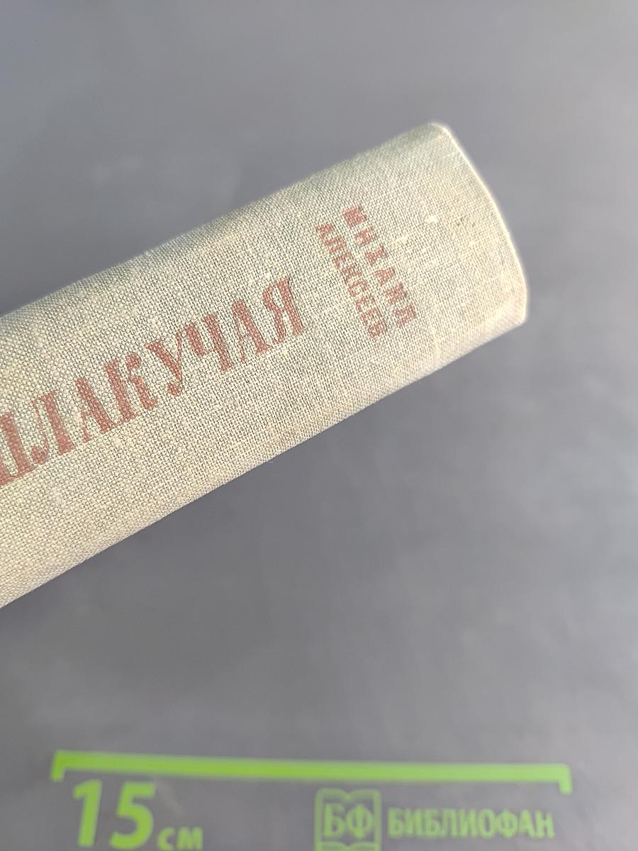 Ивушка неплакучая