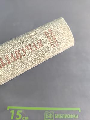Ивушка неплакучая