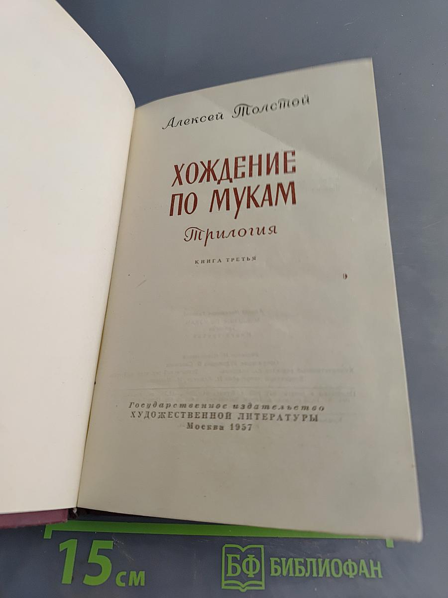 Хождение по мукам. Книга третья. Хмурое утро