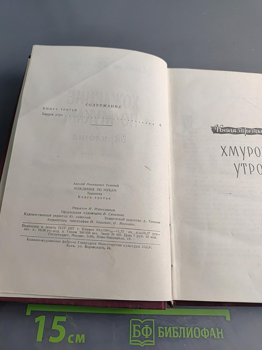 Хождение по мукам. Книга третья. Хмурое утро