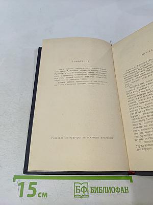 Припятская проблема