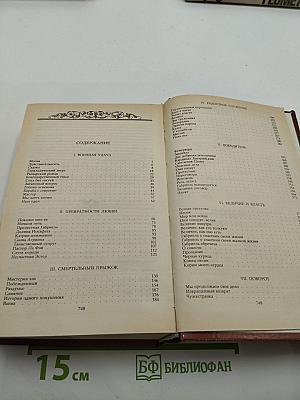 Зрелые годы короля Генриха IV