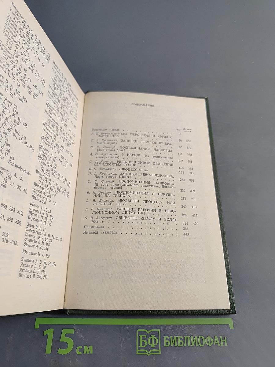 Революционеры 1870-х годов