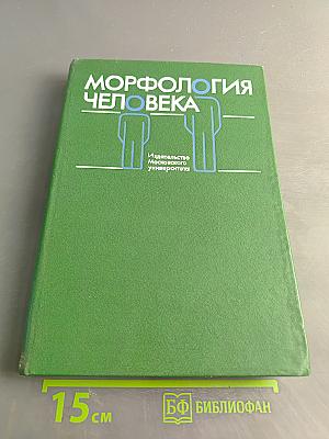 Морфология человека