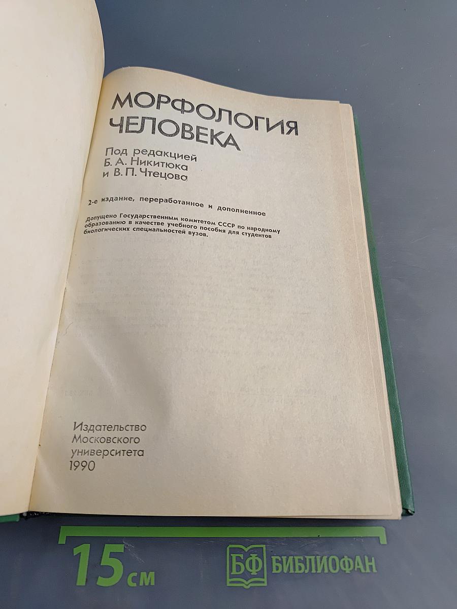Морфология человека