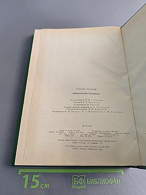 Морфология человека
