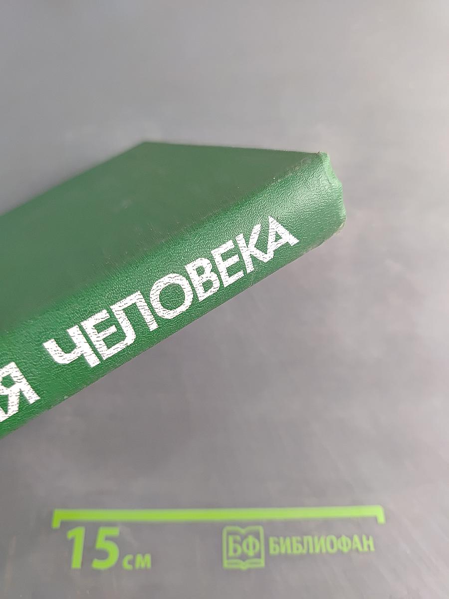 Морфология человека