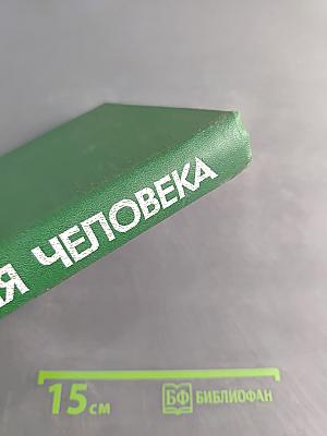 Морфология человека