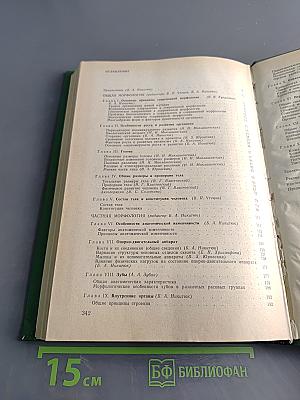 Морфология человека