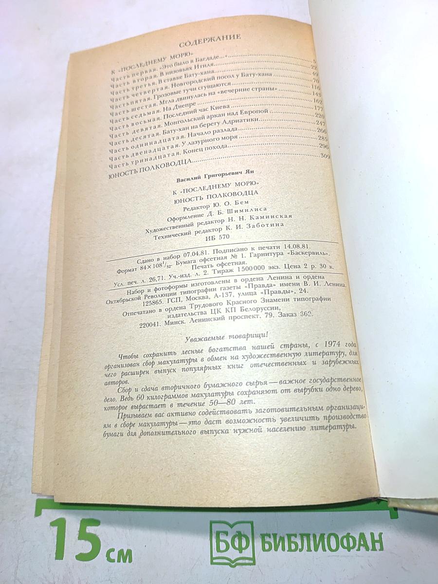 К последнему морю. Юность полководца