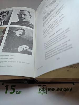 Русская поэзия XIX - начала XX в.