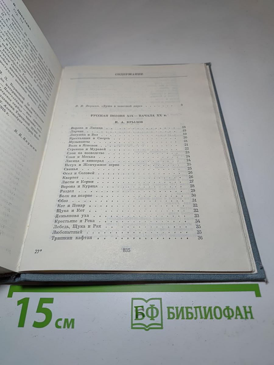 Русская поэзия XIX - начала XX в.