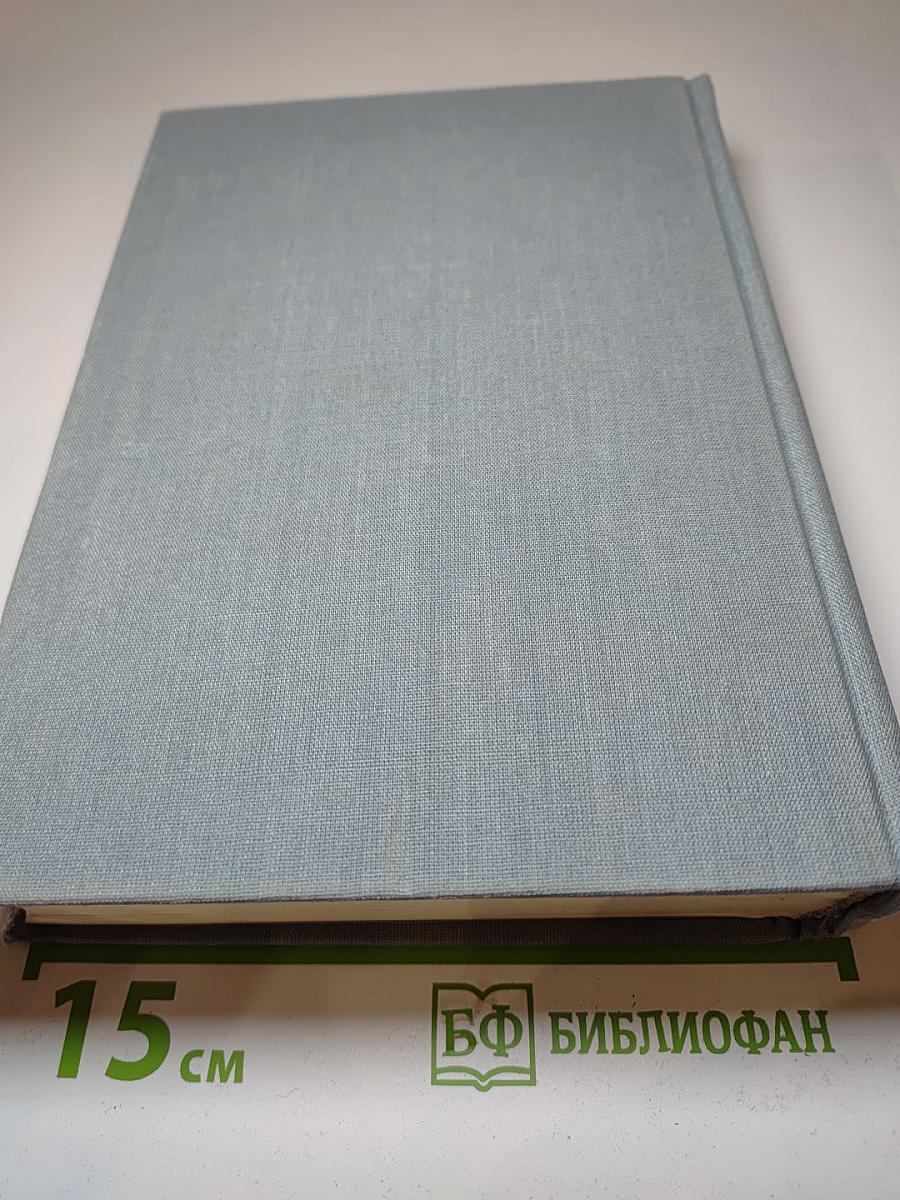 Русская поэзия XIX - начала XX в.