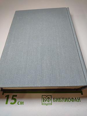 Русская поэзия XIX - начала XX в.