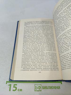 Вечные хлопоты. Книга вторая