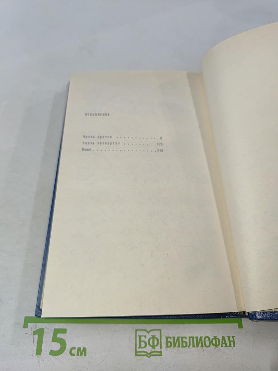 Вечные хлопоты. Книга вторая