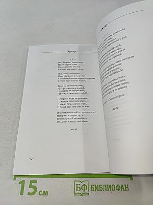Мои забавы. Сборник стихотворений