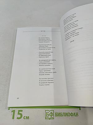 Мои забавы. Сборник стихотворений