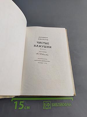 Чистые камушки