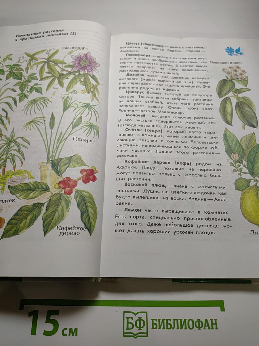 От земли до неба. Атлас-определитель для учащихся начальных классов