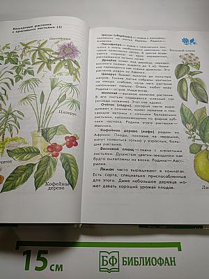 От земли до неба. Атлас-определитель для учащихся начальных классов
