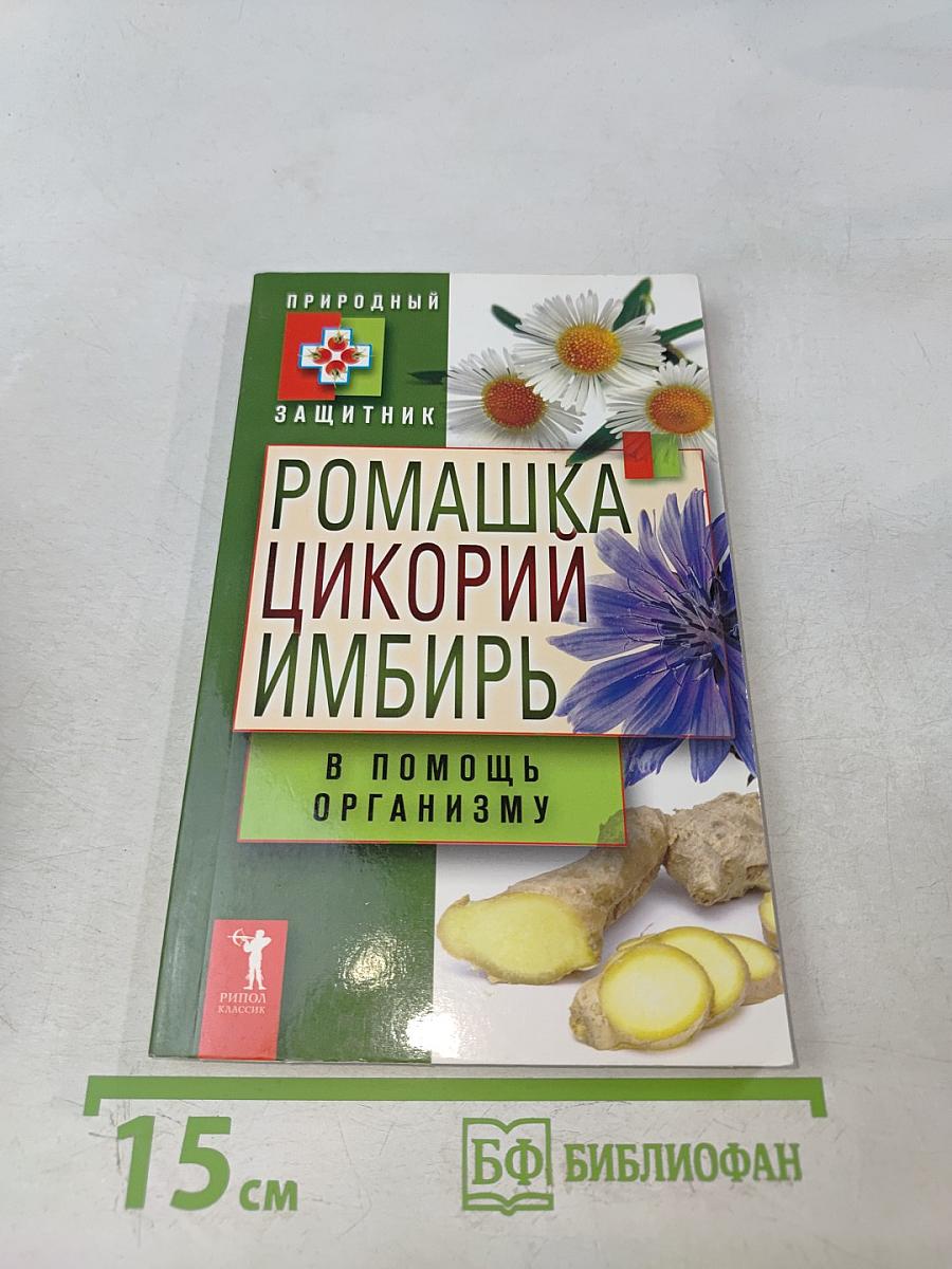 Ромашка, цикорий, имбирь в помощь организму