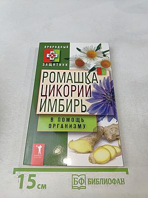 Ромашка, цикорий, имбирь в помощь организму