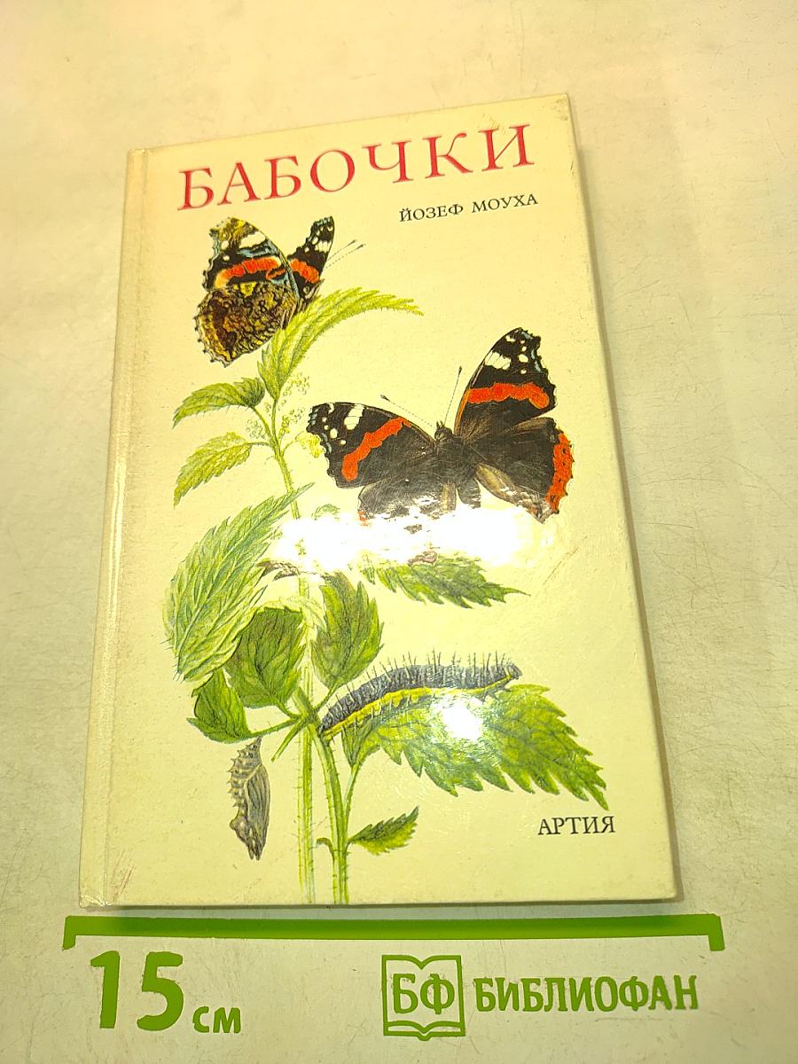 Бабочки