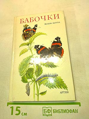 Бабочки
