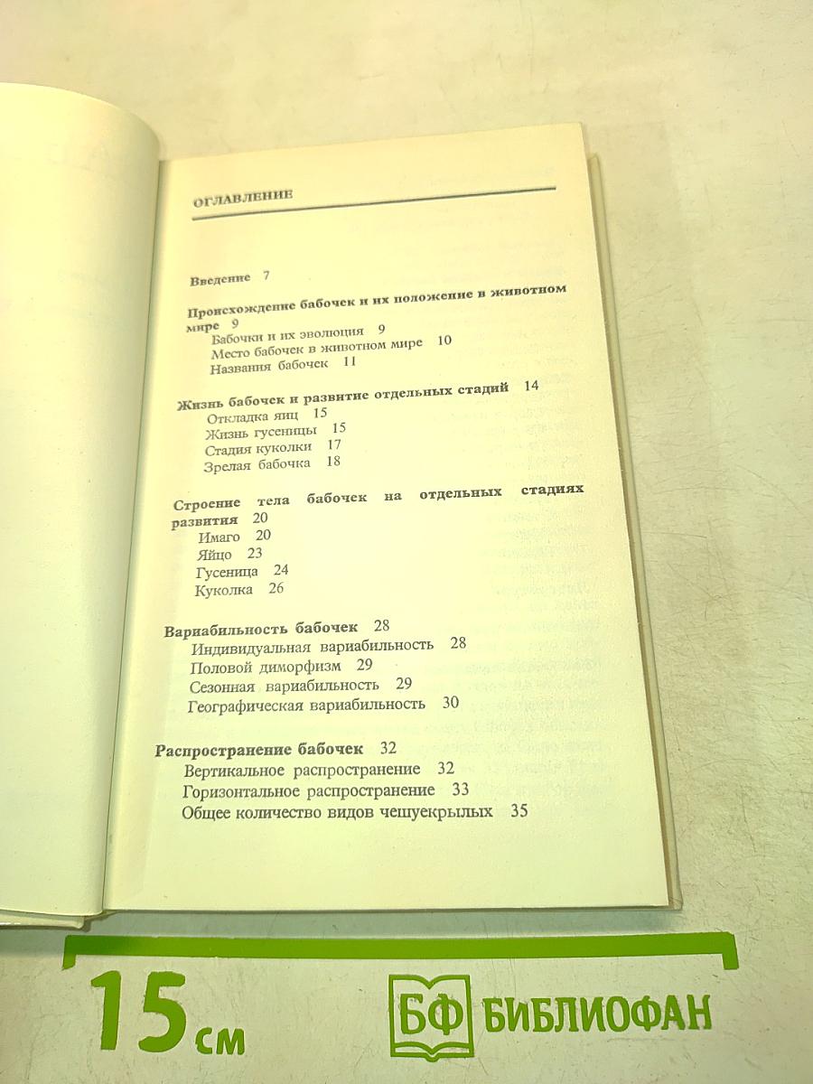 Бабочки