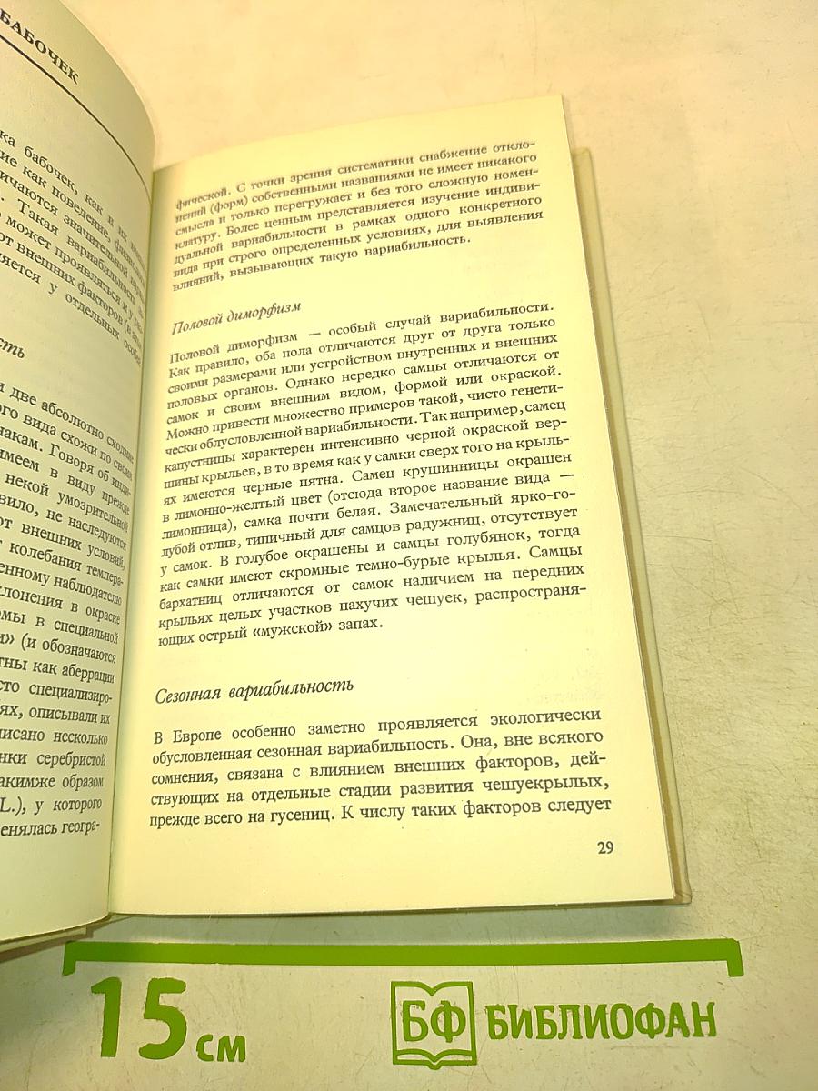 Бабочки