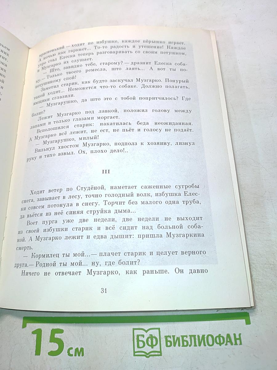 Рассказы и сказки