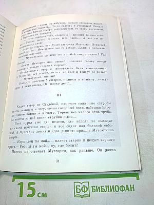 Рассказы и сказки