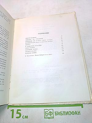 Рассказы и сказки