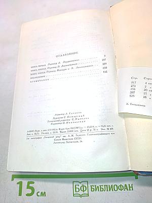 На перепутье (Бесики)