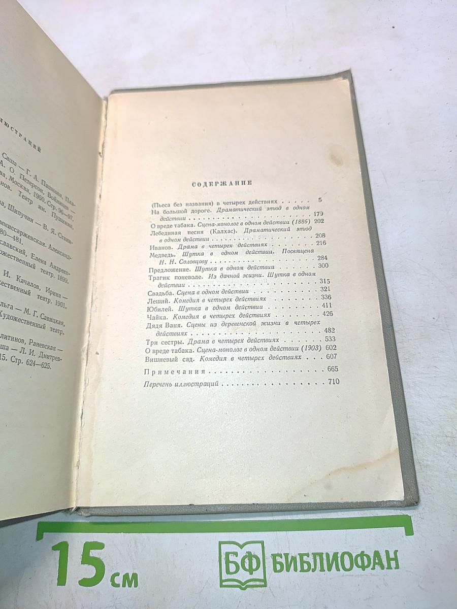 Собрание сочинений. Том девятый. Пьесы 1880-1904