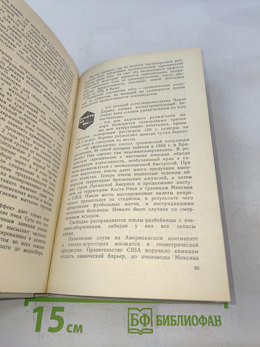 Приусадебная пасека