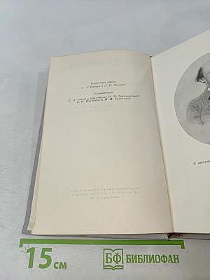 Полное собрание сочинений. Том XI. Письма 1863-1877