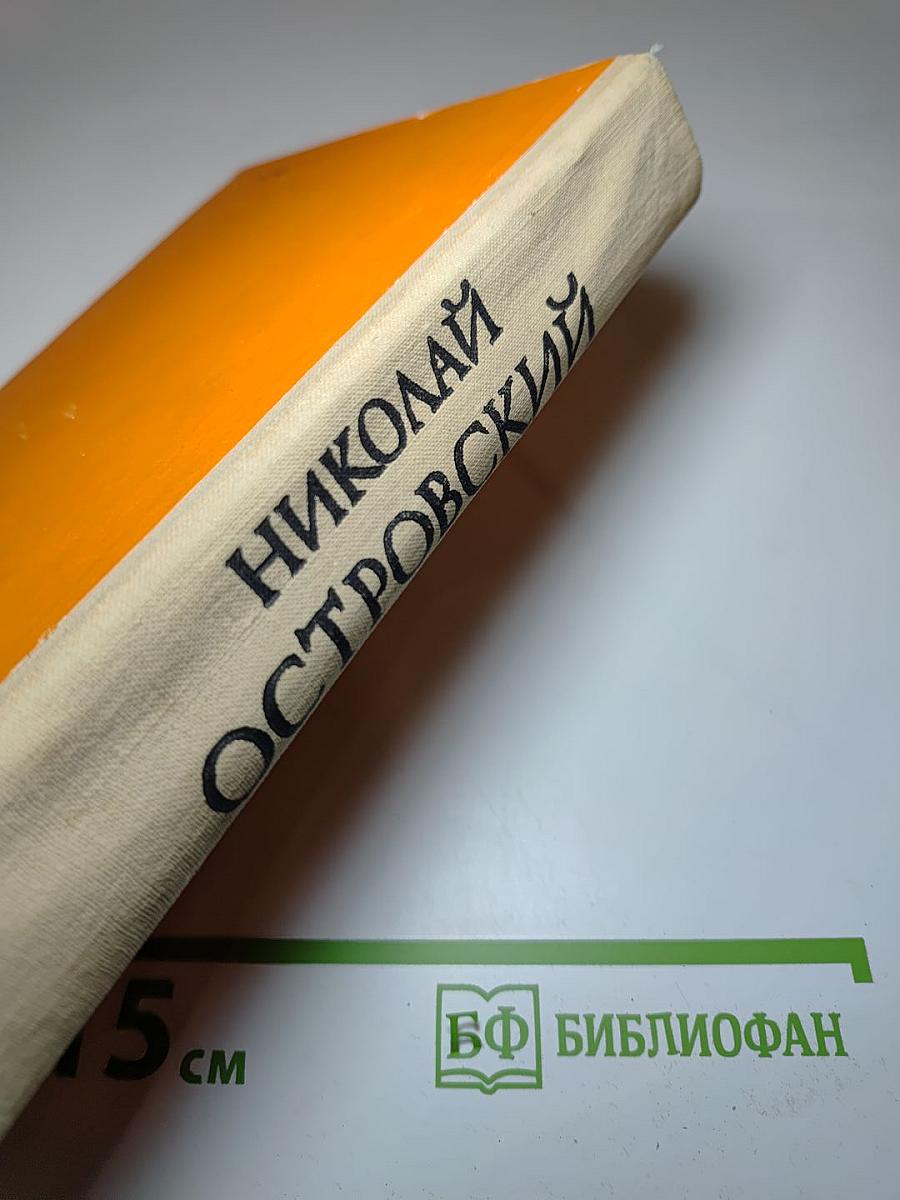 Как закалялась сталь. Рожденные бурей. Романы