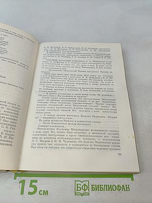Записки «Домового»